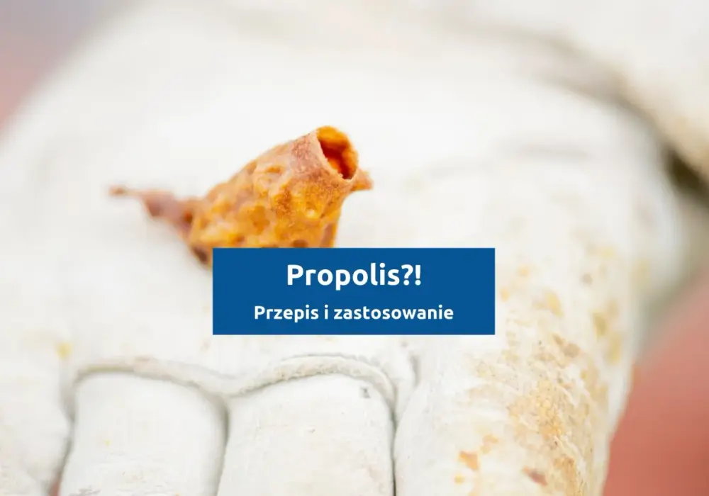 Nalewka z propolisu - prosty przepis na domowy ekstrakt