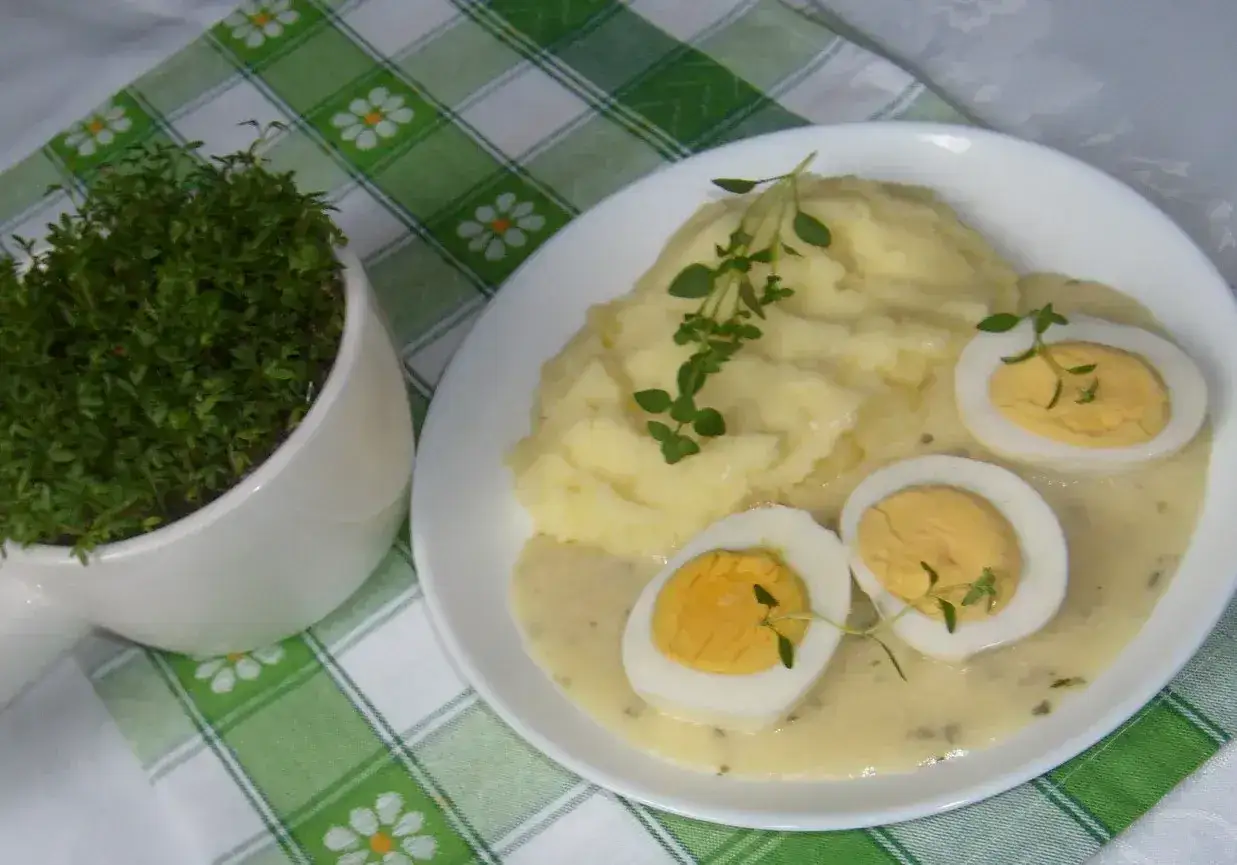 Pyszne puree ziemniaczane z jajkami w sosie chrzanowym na ciepło, ozdobione świeżymi ziołami. Obok doniczka z rzeżuchą.