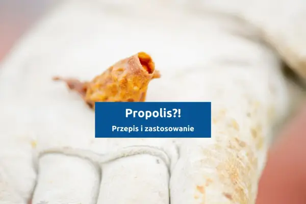 Nalewka z propolisu - prosty przepis na domowy ekstrakt