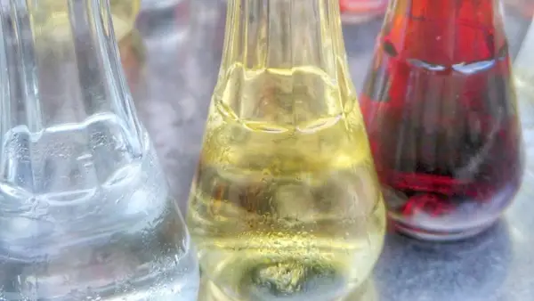 Rakija - co to jest i jak pić? Bałkański destylat bez tajemnic